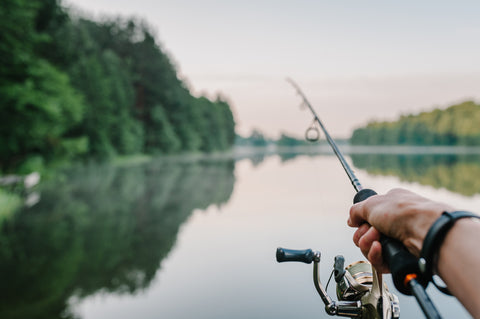 Bass Fishing Tips For Beginners