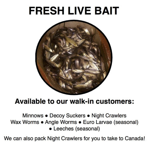 Live Bait- Minnows, Nightcrawlers, Waxworms, Leeches – Blue Ribbon Bait &  Tackle