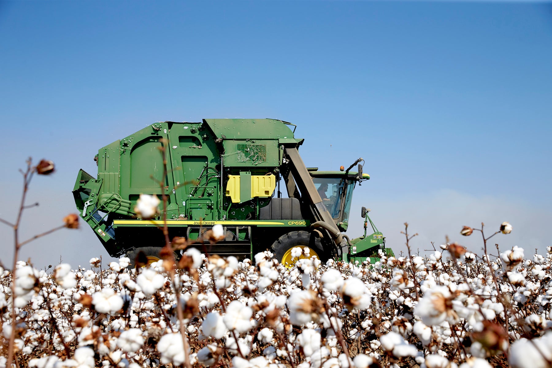 Harvest season in Wilson, Arkansas