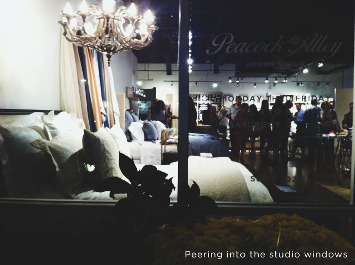 Peering into the Peacock Alley Studio window from outside