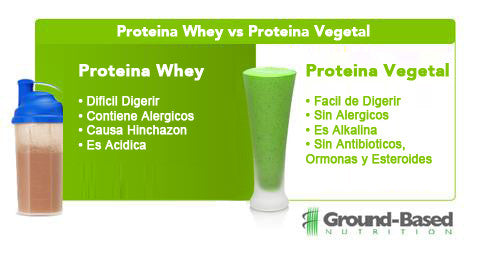 proteina whey vs proteina vegetal