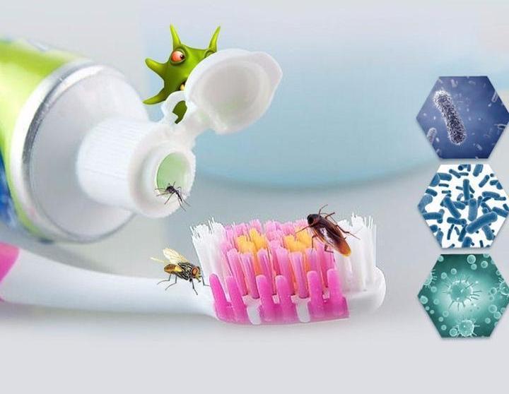 3-in-1 UV Toothbrush Sanitizer