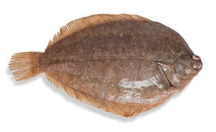 Lemon Sole