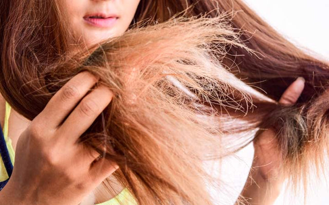 Frizzy Hair Home Remedies For Dry  Frizzy Hair  Pure Sense