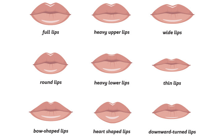 different lip shapes