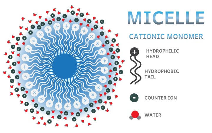 Cationic micelle