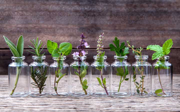 Group of small bottles with essential hair oil leaves