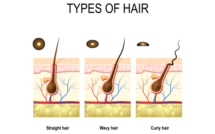 Types of hair that is straight, wavy and curly