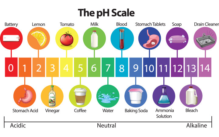 an education poster of ph scale