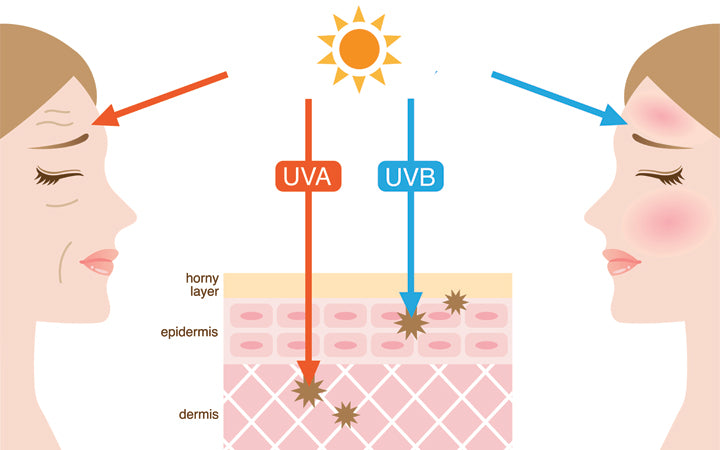 mechanism of UVA and UVB radiation
