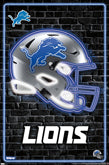 Detroit Lions Sports Poster, Detroit LIONS Artwork, Lions in front of –  McQDesign