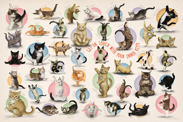 Yoga Cats "Get In Touch With Your Inner Kitty" Poster - Eurographics