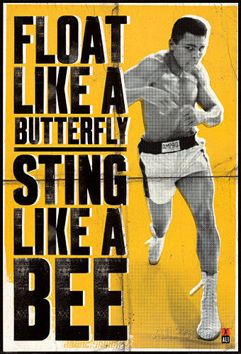 Muhammad Ali Float Like A Butterfly Sting Like A Bee Boxing Poster Sports Poster Warehouse