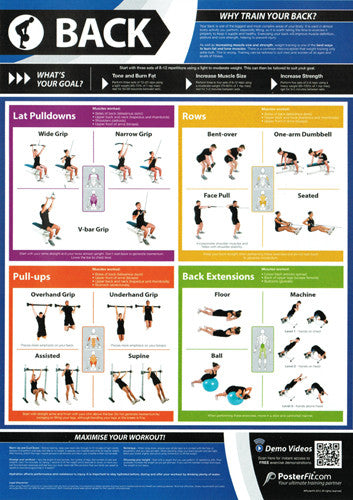 Back Workout Chart Image