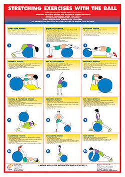 stability ball stretches