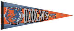 Charlotte Bobcats Official NBA Premium Felt Pennant - Wincraft