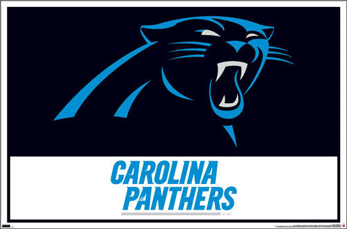 Carolina Panthers Official NFL Football Team Logo and Wordmark Poster ...