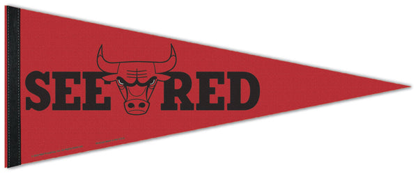 Chicago Bulls "See Red" NBA Basketball Premium Felt Pennant - Wincraft