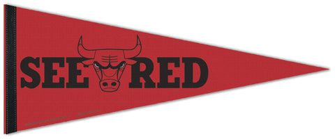 Chicago Bulls "See Red" NBA Basketball Premium Felt Pennant - Wincraft