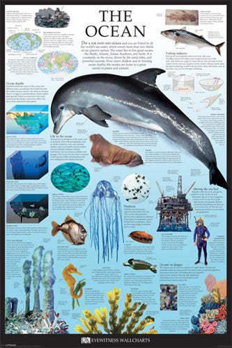 The Ocean Educational Poster - DK Eyewitness Wallcharts/Pyramid ...