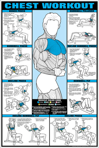 CO-ED Chest Workout Professional Fitness Gym Wall Chart Poster - Fitnus Corp.