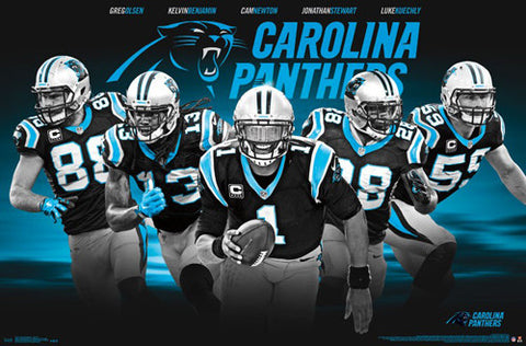 nfl carolina panthers