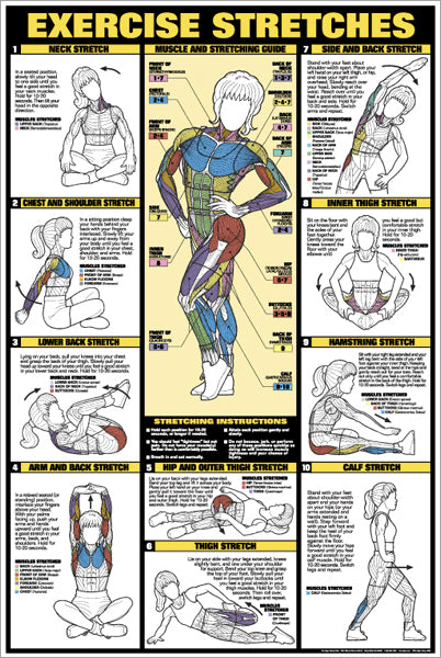 arm exercises chart for women
