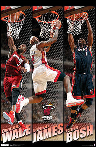 dwyane wade lebron poster