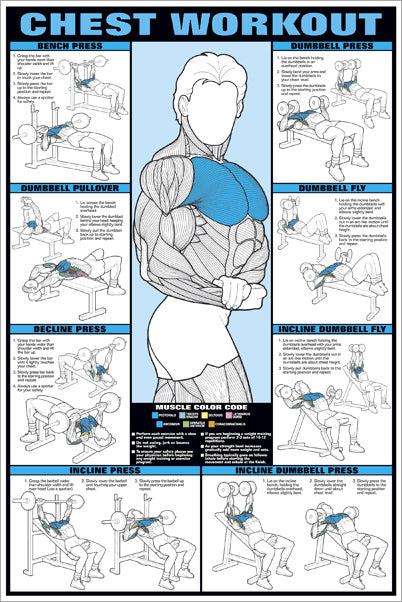 Chest Workout Professional Fitness Instructional Wall Chart Poster ...