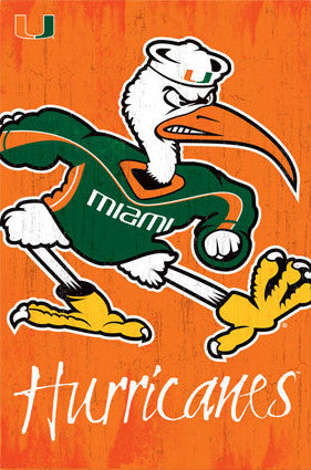 University of Miami Hurricanes Sebastian-Ibis Official NCAA Team Logo Poster - Trends International