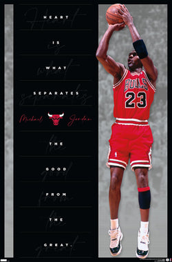 Michael Jordan Posters – Sports Poster Warehouse