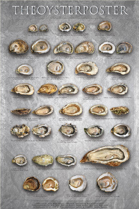 Oyster Chart