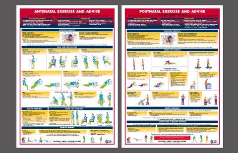 Pregnancy Fitness 2-Poster Set (Antenatal and Postnatal Exercise and A ...