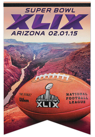 super bowl xlix 2015