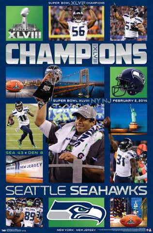 Seattle Seahawks Shop Exclusive 2014 NFC Champions Framed 15'' x