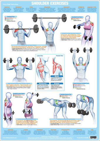 shoulder exercises with dumbbells chart