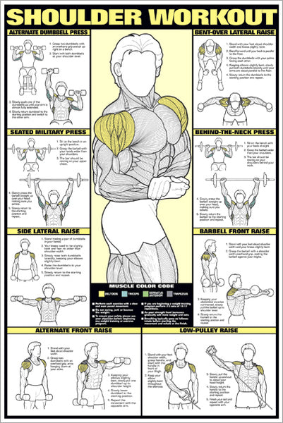 Shoulder Workout With Dumbbells Chart