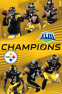 2009 Super Bowl Xliii Steelers Vs Cardinals Sports Poster Warehouse