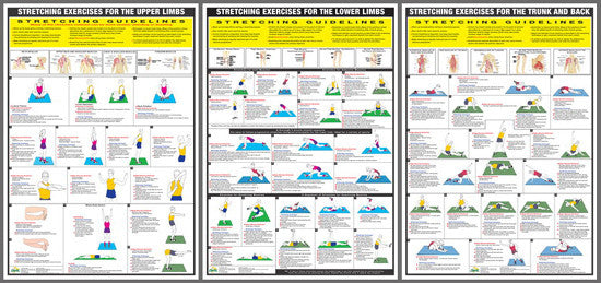 Stretching Exercises Fitness Wall Chart Set (3-Poster Combo) - Chartex