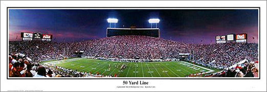 Tampa Bay Bucs "50 Yard Line" (Tampa Stadium 1992) Panoramic Poster - Everlasting Images