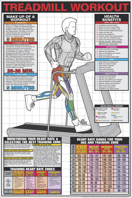 Treadmill Workout Professional Cardio Fitness Wall Chart Poster