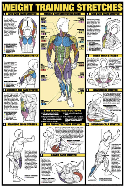 Abdominal Exercises Instructional Wall Chart Poster - Chartex Ltd ...