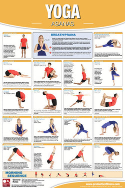 Yoga Fitness Asanas Wall Chart Professional Gym Poster - Productive Fitness