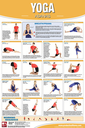 Yoga Fitness Asanas Wall Chart Professional Gym Poster - Productive Fitness