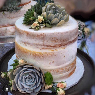 Succulent Cake Topper