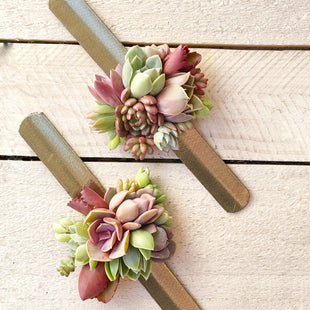 Succulent Snap On Wrist Corsage