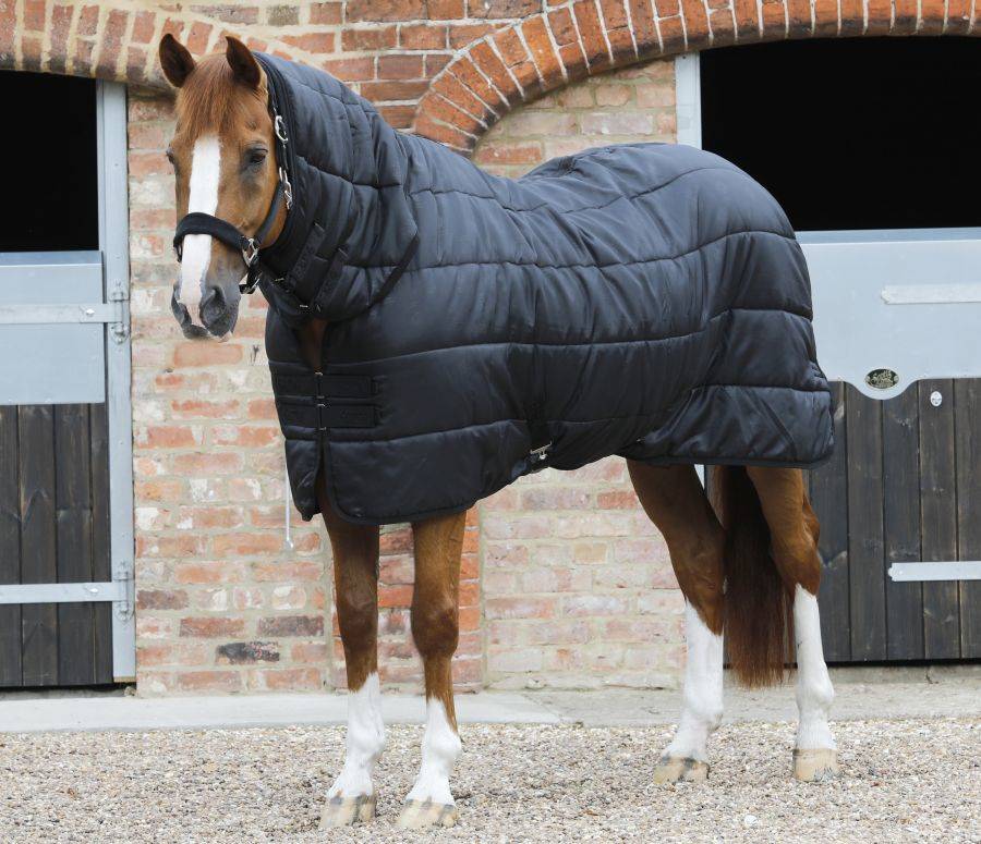 Horse Winter Blanket Size Chart