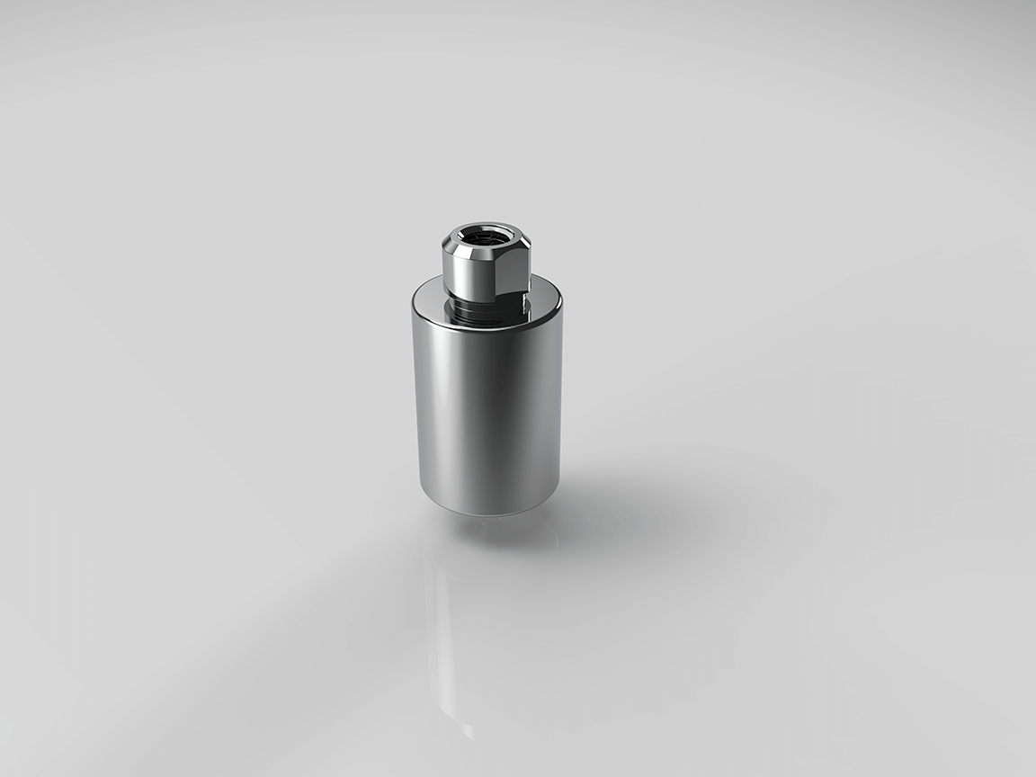 Biomet 3i (Certain) 6.0mm Blank (D14)
