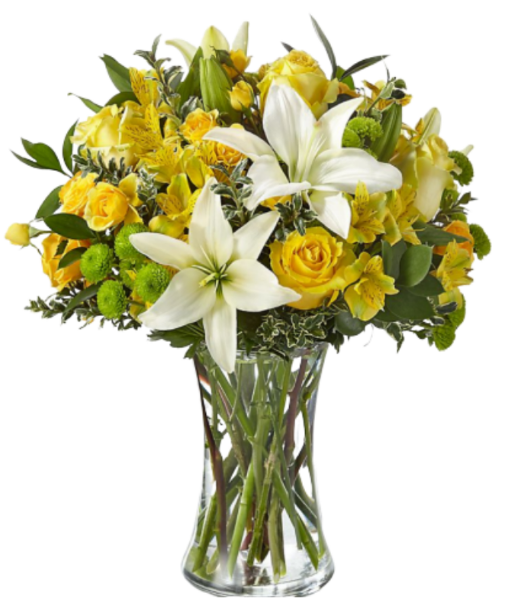 Luxo Natural - 3 opções de tamanho – Itaim Flores