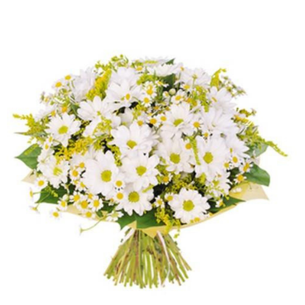 Bouquet de Margaridas – Itaim Flores